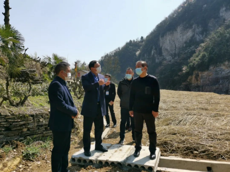 1589962919375347.png 圖片2.png