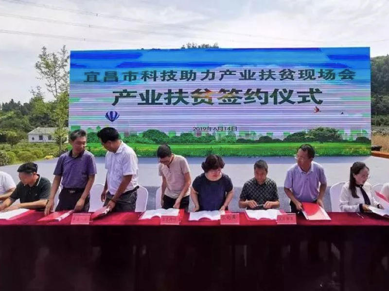 1589963699294220.png 圖片5.png