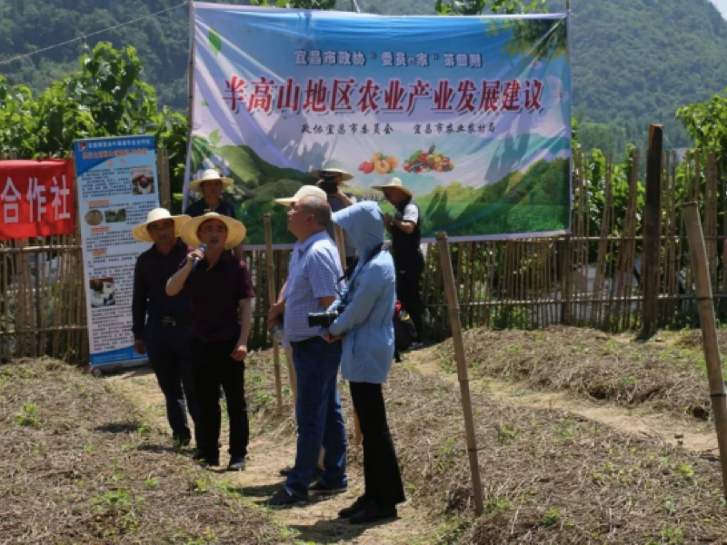 1589963741712205.png 圖片7.png