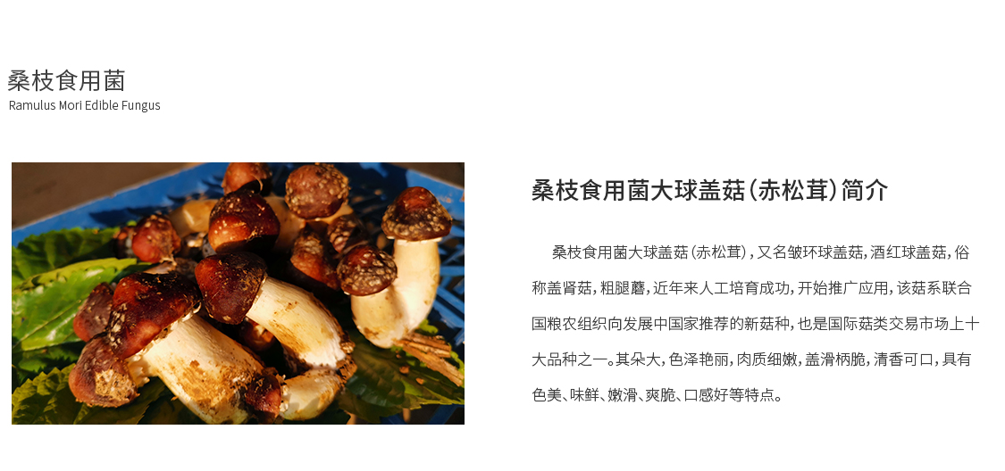 1590129461468366.jpg shiyongjun_02.jpg