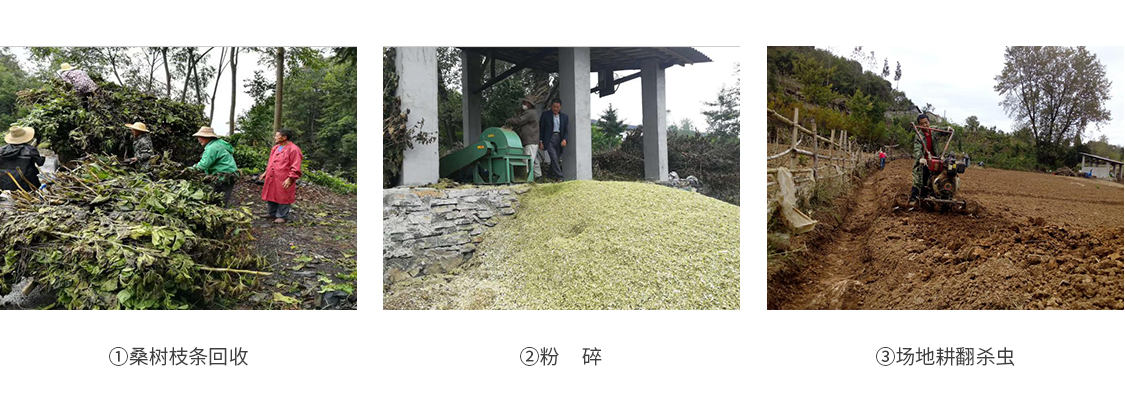 1590131009398945.jpg shiyongjun_13.jpg