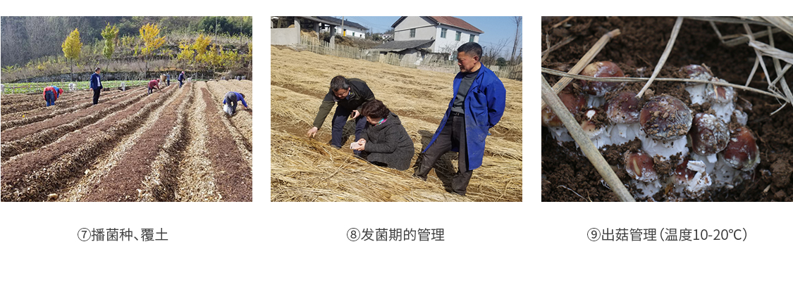 1590131018384725.jpg shiyongjun_15.jpg