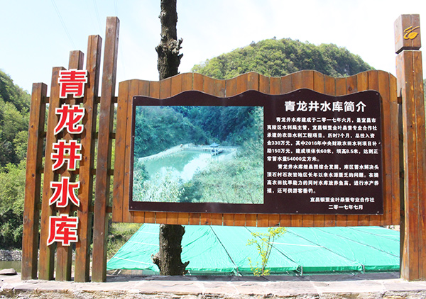 1590376018796135.jpg 青龍井水庫.jpg