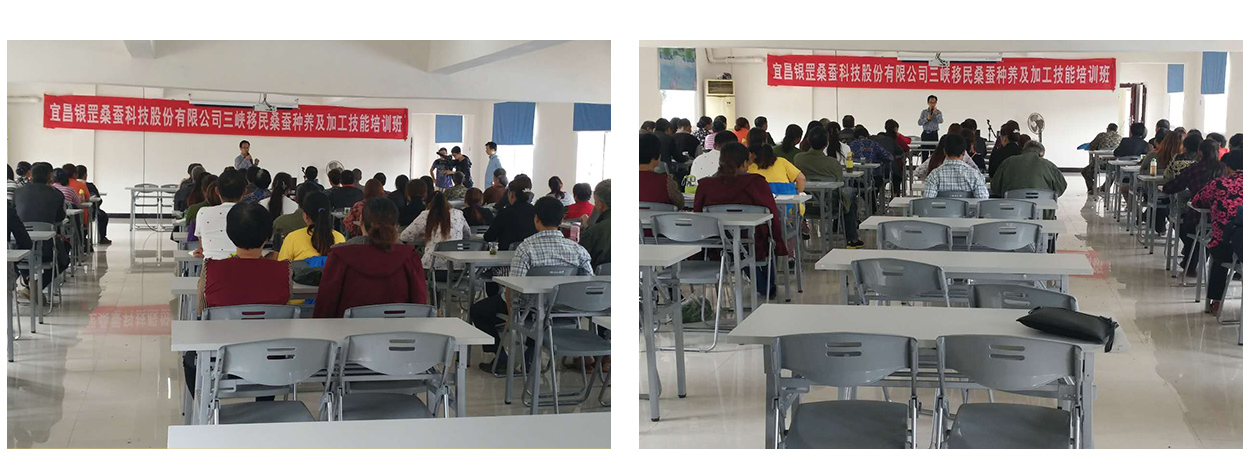 1603160906600113.jpg 121313_01.jpg