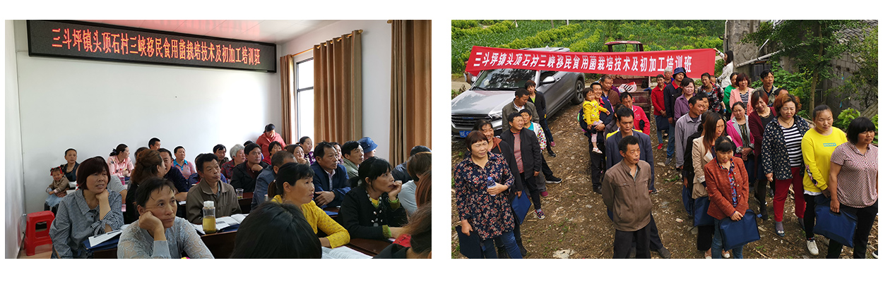 1603160915250374.jpg 121313_02.jpg