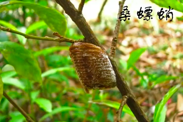 1611021702751842.png 6.png