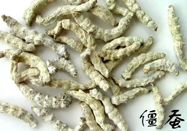 1611021736664242.png 8.png