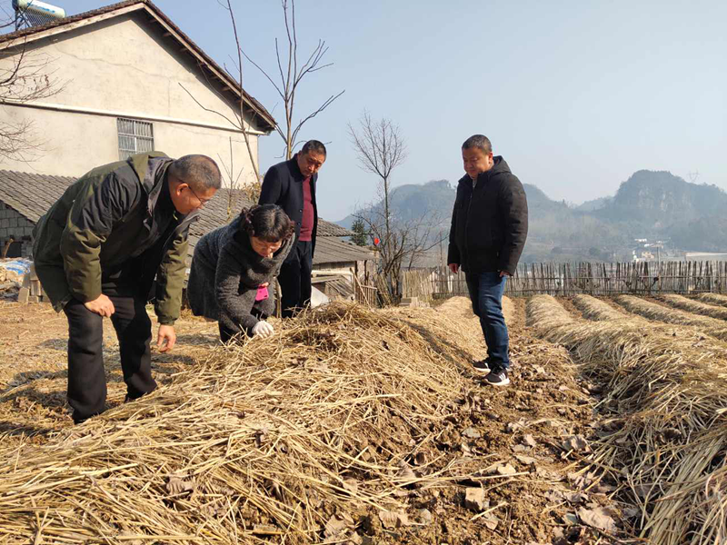 1611887675845963.png image.png