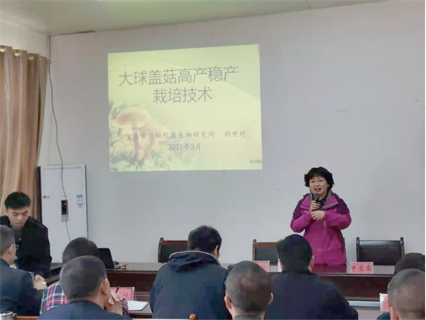 1617261643801942.png 1_副本.png