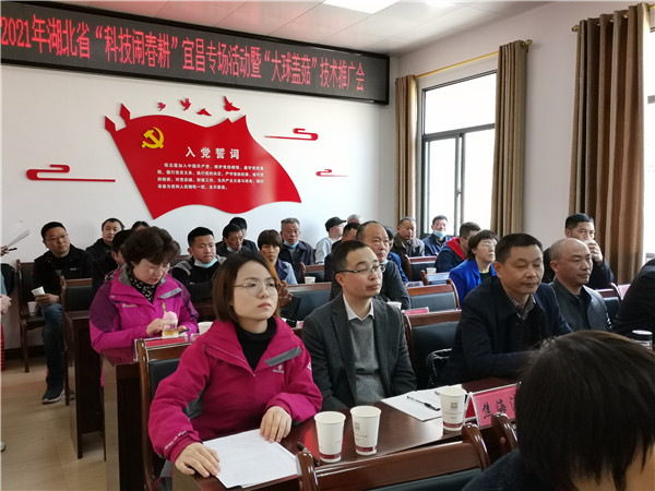 1617269850300140.jpg 4_副本.jpg