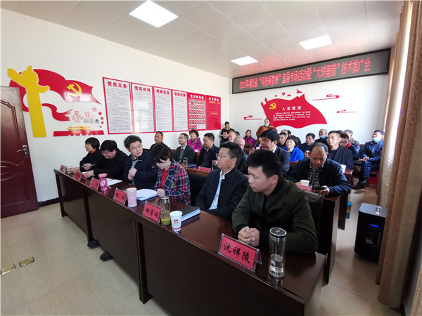 1617269869891248.jpg 5_副本.jpg