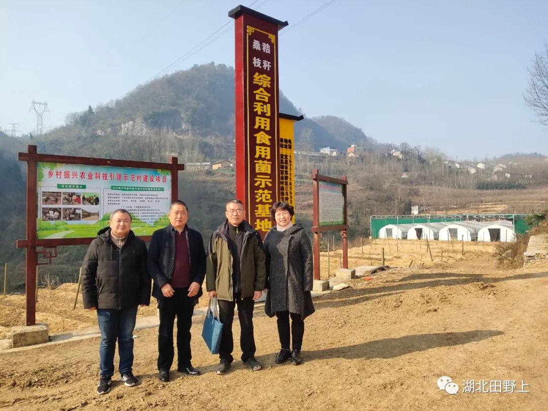 1677654469981982.jpg 1677654469981982.jpg