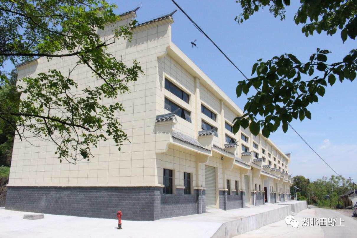 1677654728106567.png 1677654728106567.png