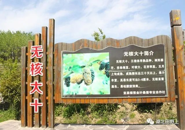 1677654924898992.jpg 1677654924898992.jpg