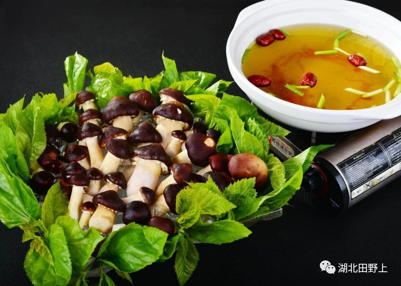 1677655020954325.jpg 1677655020954325.jpg