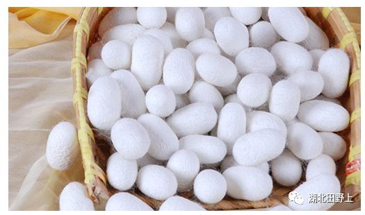 1677655110993913.png 1677655110993913.png