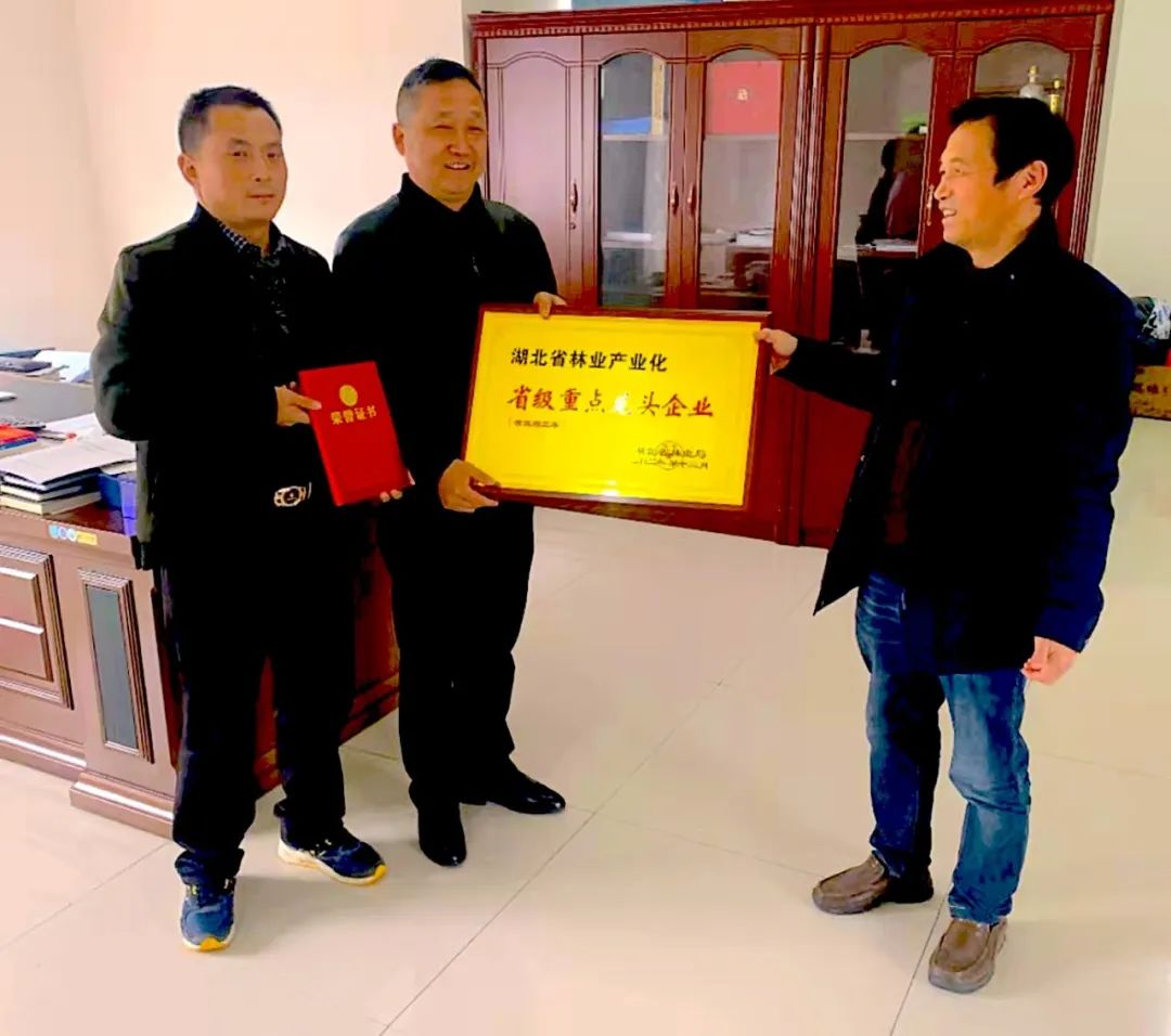 1677833142606541.jpg 1677833142606541.jpg