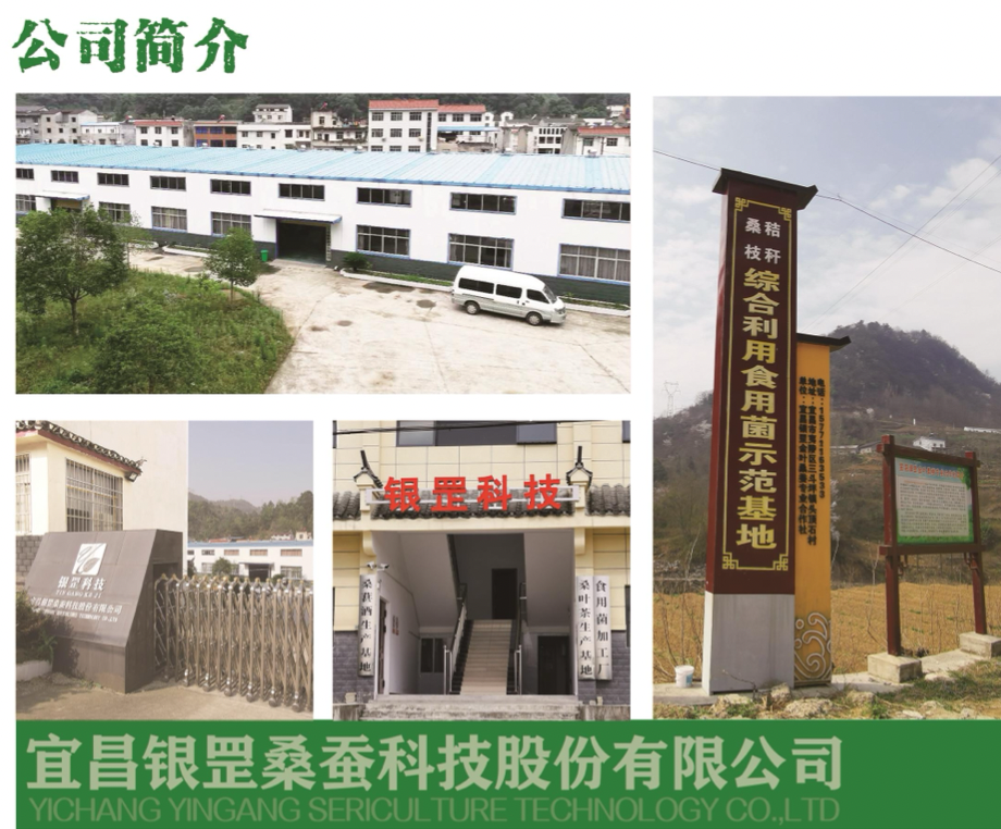 1677833213896564.png 1677833213896564.png