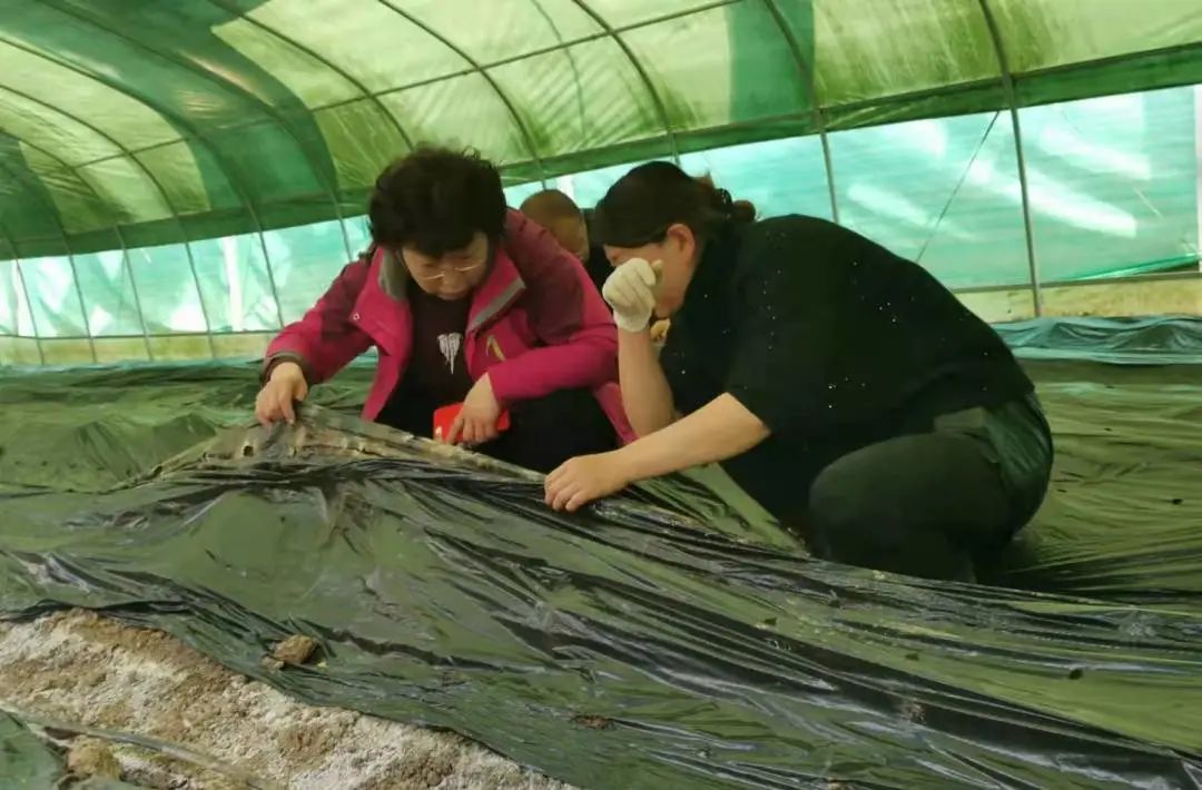 1677833310752996.jpg 1677833310752996.jpg