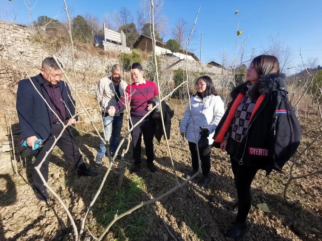 1677833341971290.jpg 1677833341971290.jpg