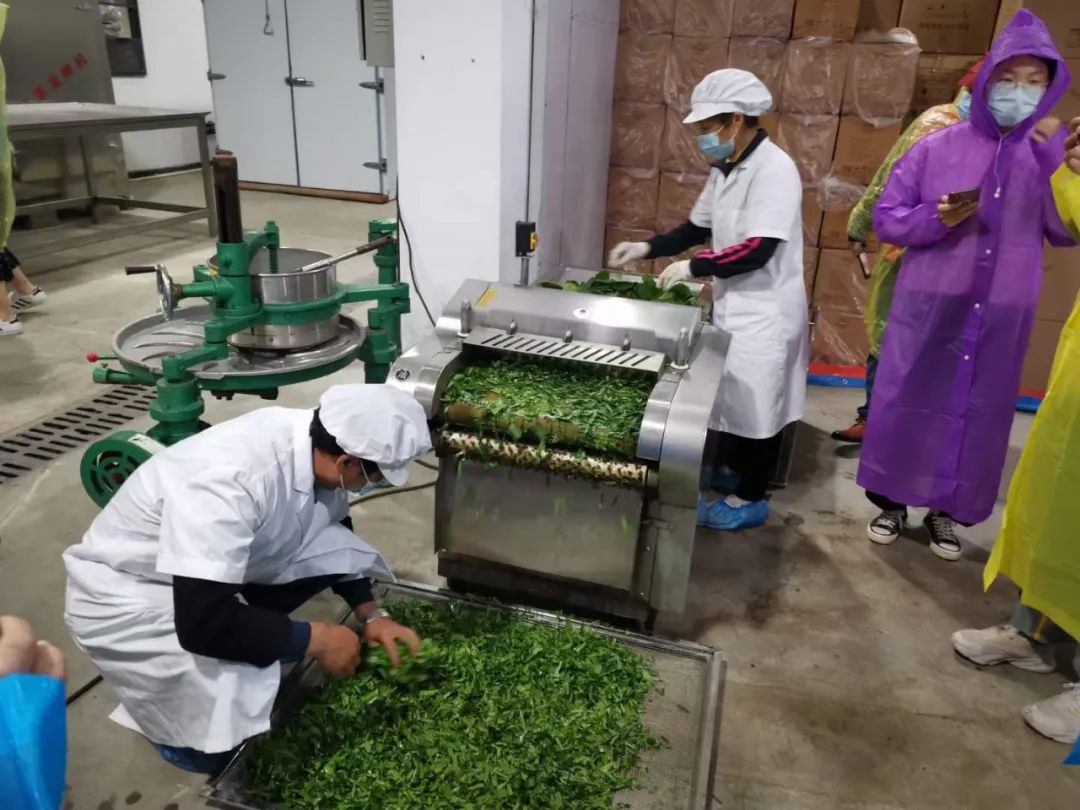 1677834467394189.jpg 1677834467394189.jpg