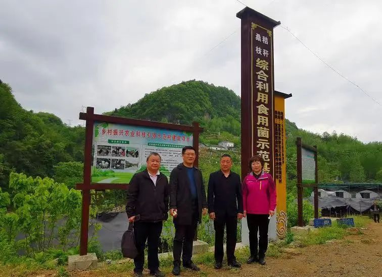 1677835254986304.jpg 1677835254986304.jpg