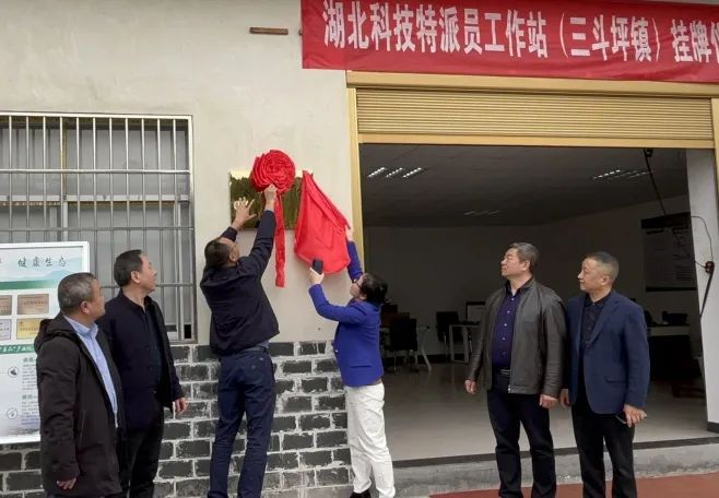 1680490698850411.jpg 1680490698850411.jpg