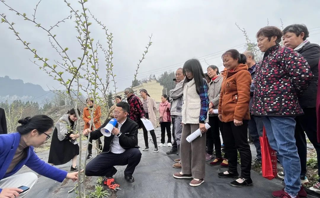 1680490958973359.jpg 1680490958973359.jpg