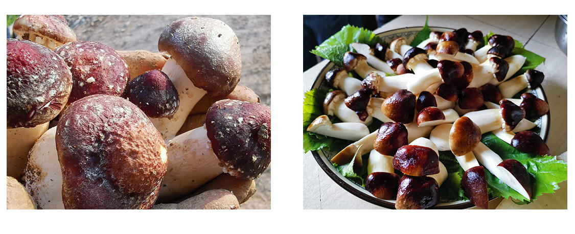 1760321106128577.jpg 1603418821124480.jpg